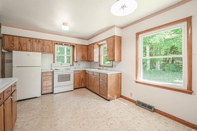 kitchen featuring crown molding, sink, and white appliances