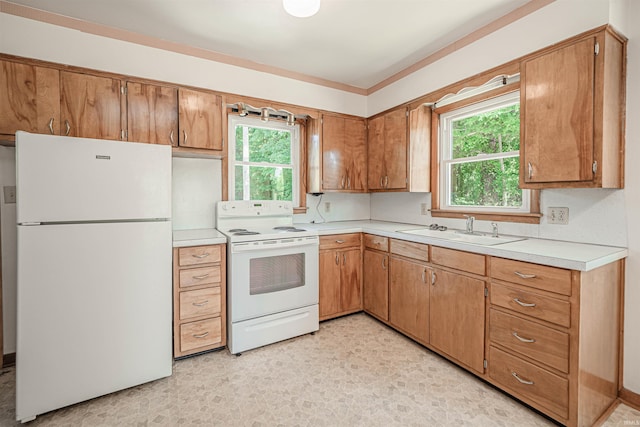 kitchen with plenty of natural light, sink, and white appliances