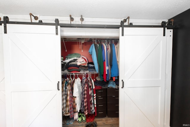 view of closet