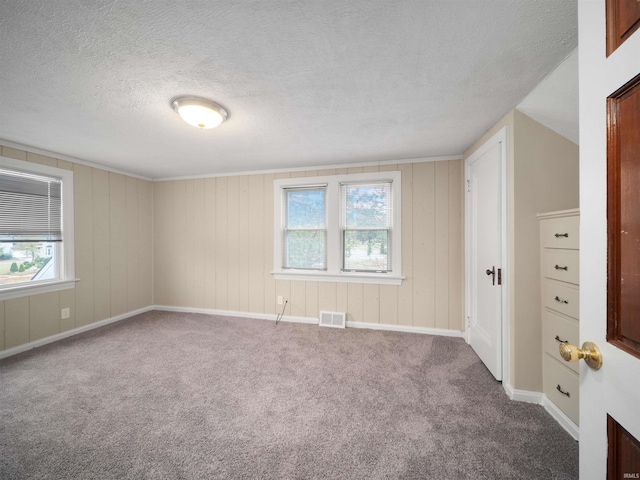 unfurnished room featuring a textured ceiling, carpet flooring, and a wealth of natural light