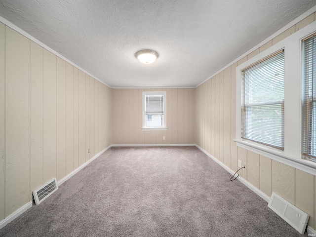 carpeted empty room with a textured ceiling and wooden walls