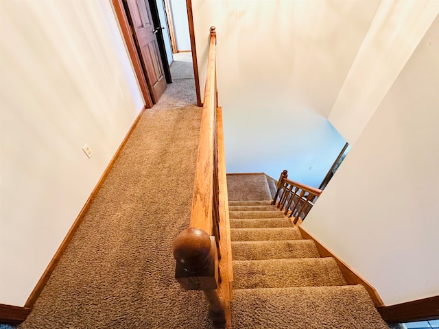 stairs featuring carpet