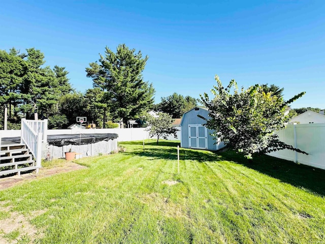 view of yard with a storage unit