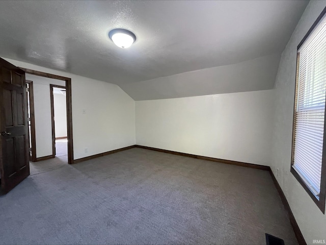 additional living space with carpet, lofted ceiling, and a textured ceiling