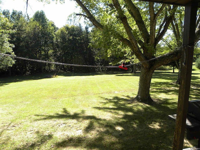 view of property's community with a yard