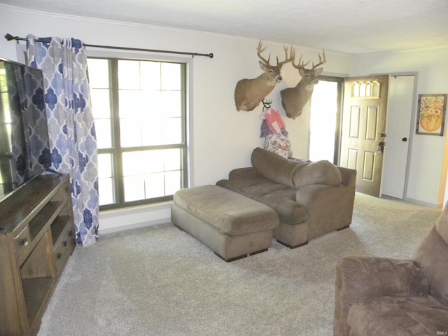 living room featuring light carpet, crown molding, and a healthy amount of sunlight