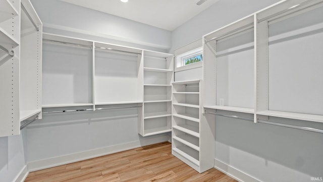 spacious closet with hardwood / wood-style floors