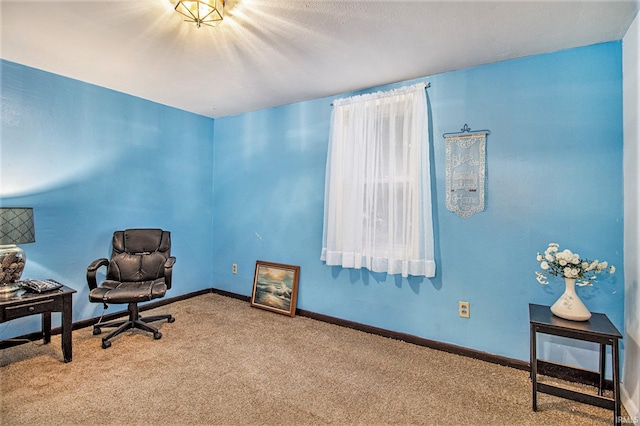 sitting room with carpet flooring