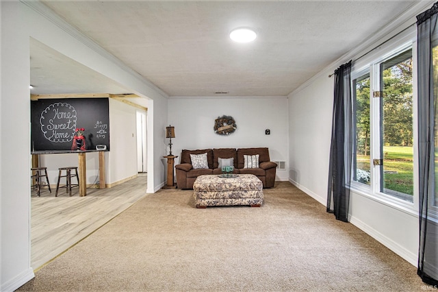 living area with carpet flooring, a textured ceiling, and crown molding