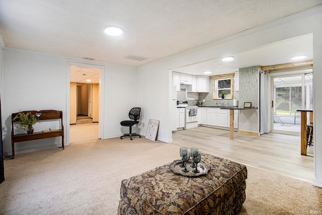 living room with a textured ceiling, light colored carpet, and crown molding