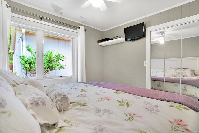 bedroom featuring ceiling fan, a closet, and crown molding