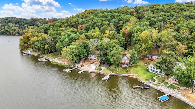 bird's eye view with a water view