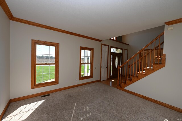 foyer with carpet flooring and crown molding