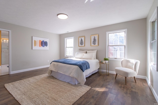 bedroom featuring multiple windows, connected bathroom, and dark wood-type flooring