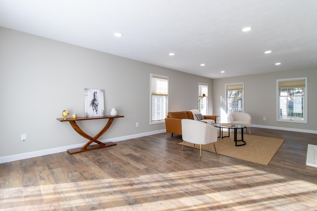 living room featuring dark hardwood / wood-style flooring