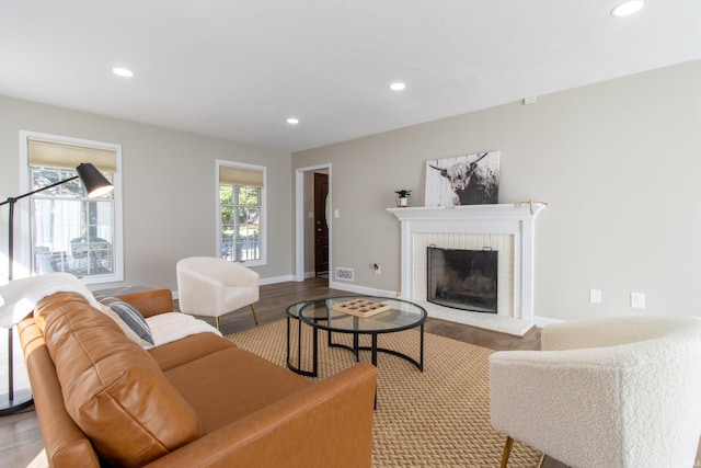 living room featuring light wood-type flooring, a fireplace, and a healthy amount of sunlight