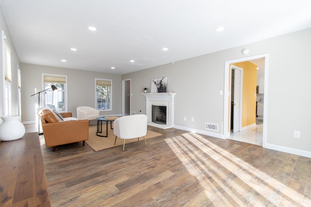 living room featuring hardwood / wood-style floors