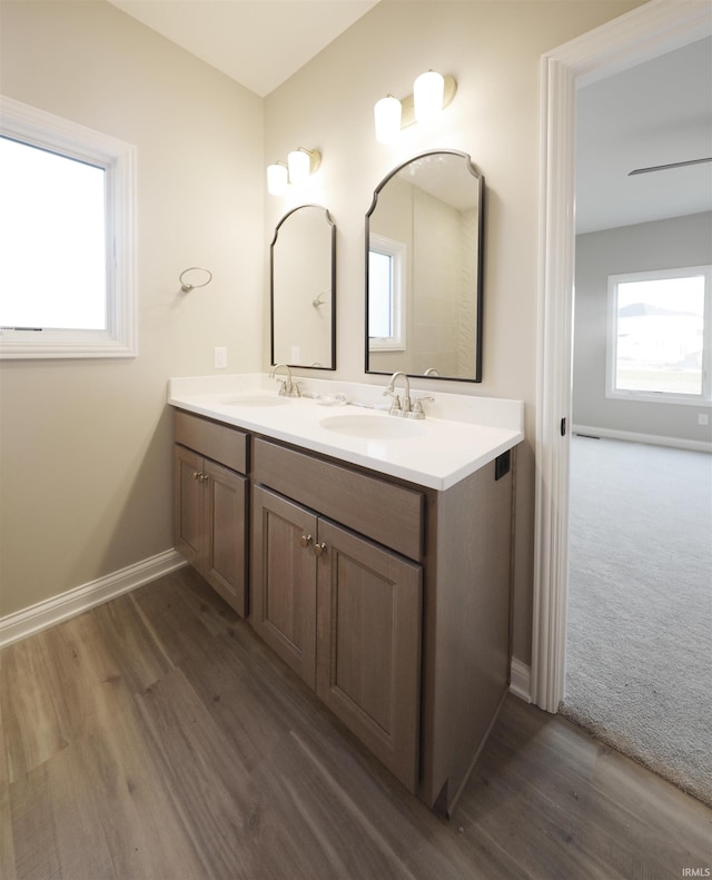 bathroom with hardwood / wood-style flooring and vanity