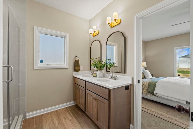 bathroom with wood-type flooring, walk in shower, and vanity