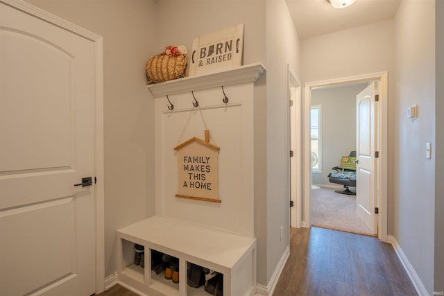 mudroom featuring wood-type flooring