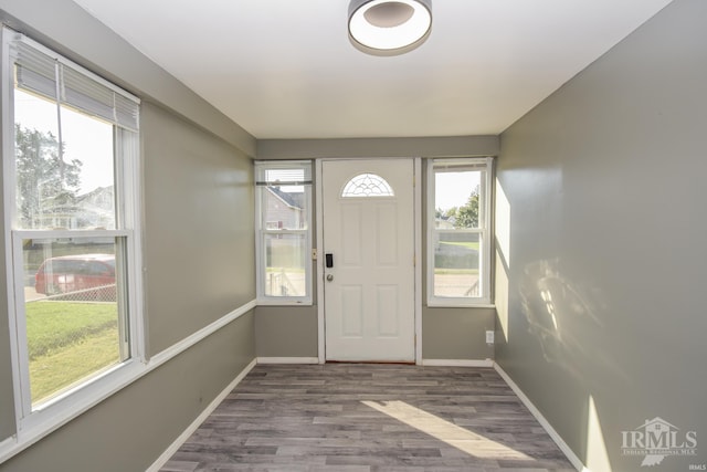 entryway featuring hardwood / wood-style floors and a wealth of natural light