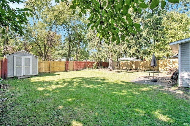 view of yard featuring a shed