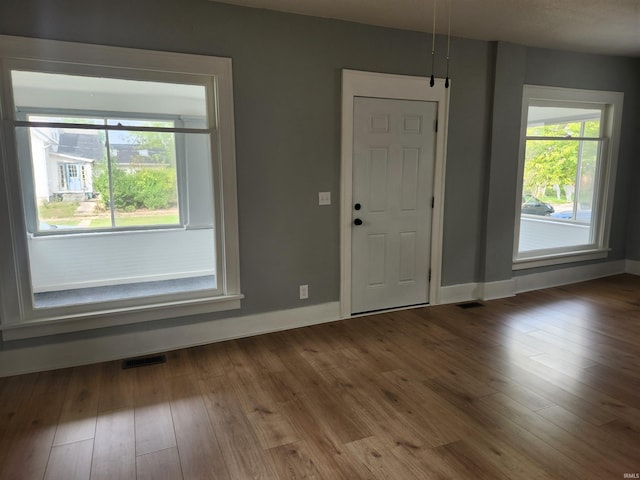 entryway featuring hardwood / wood-style floors