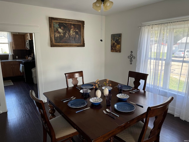 dining room with dark hardwood / wood-style flooring