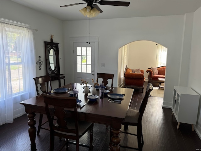 dining space with ceiling fan and dark hardwood / wood-style flooring