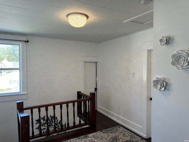 staircase with hardwood / wood-style floors