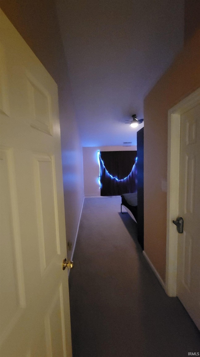 hallway featuring carpet floors