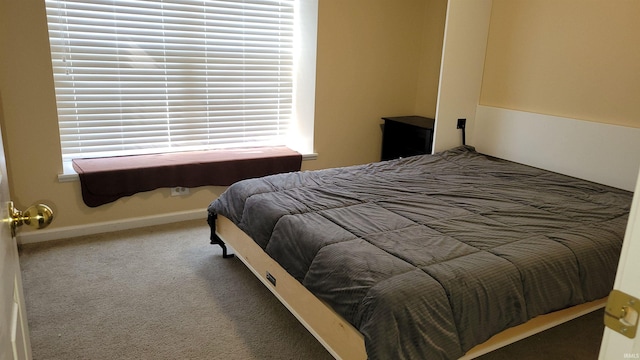 carpeted bedroom with multiple windows