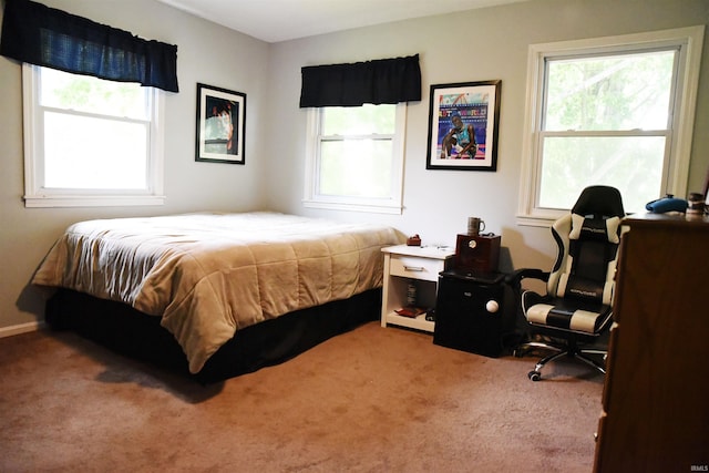 bedroom with carpet and multiple windows