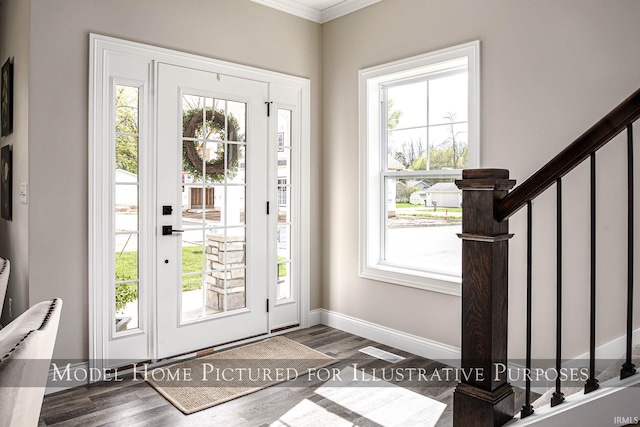 foyer featuring ornamental molding, plenty of natural light, and dark hardwood / wood-style flooring