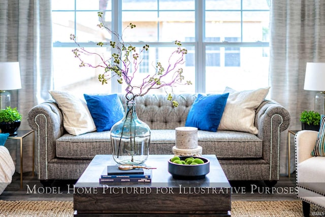 living room featuring a healthy amount of sunlight