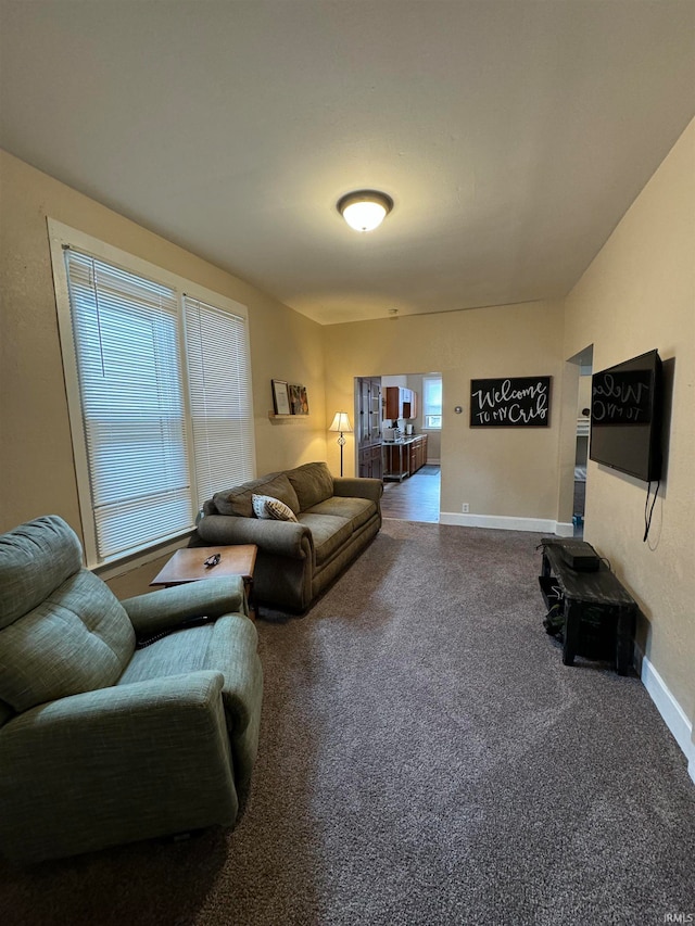 living room featuring carpet flooring