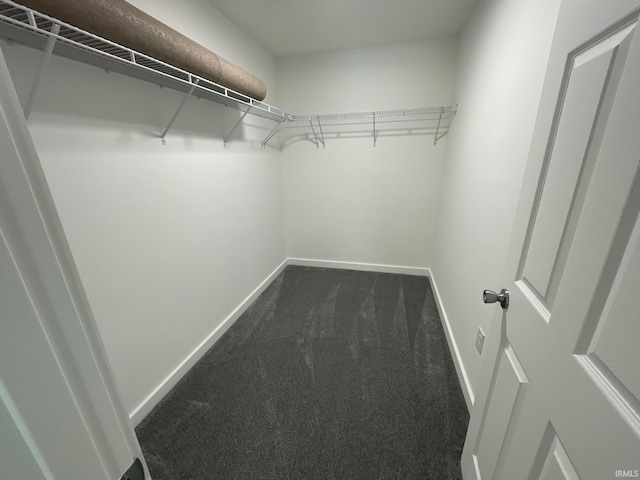 spacious closet featuring dark colored carpet