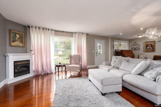 living room featuring dark wood-type flooring