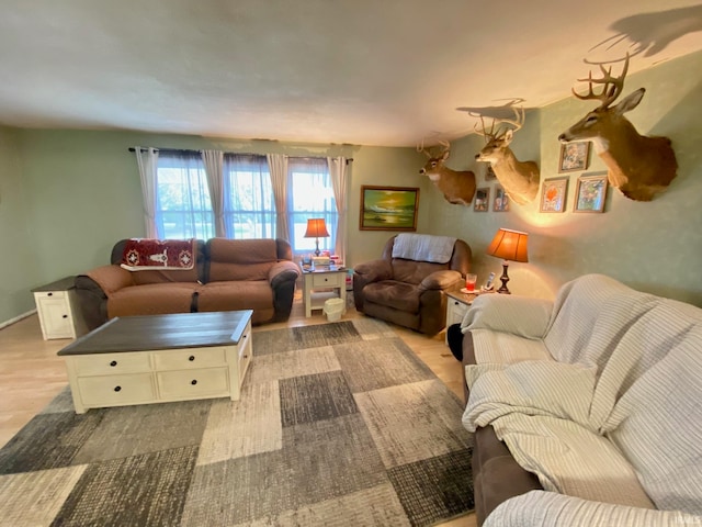 living room featuring light hardwood / wood-style floors