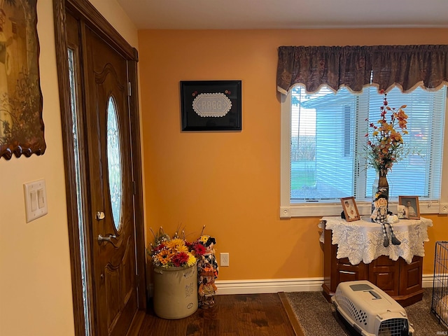 entrance foyer with dark hardwood / wood-style flooring