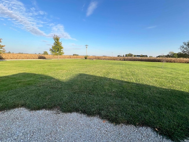 view of yard with a rural view