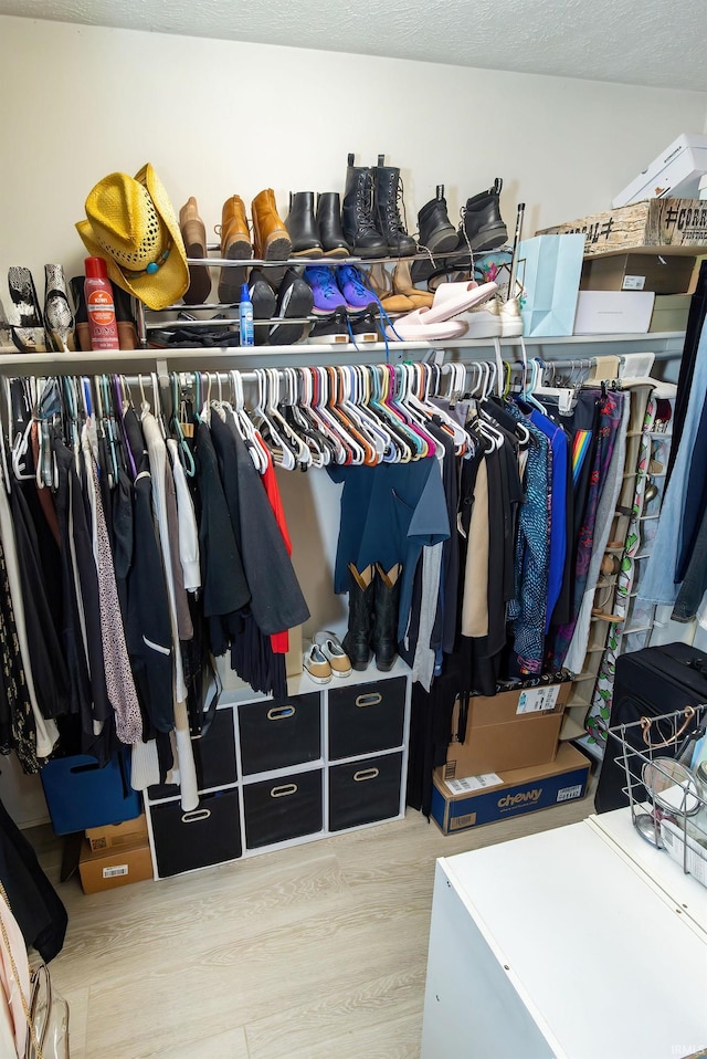 spacious closet featuring wood-type flooring