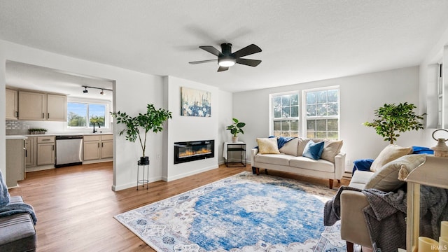 living room featuring light hardwood / wood-style flooring, a textured ceiling, ceiling fan, and sink