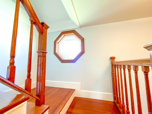 stairs with hardwood / wood-style floors