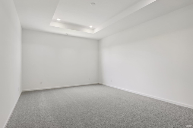 unfurnished room featuring a raised ceiling and carpet floors