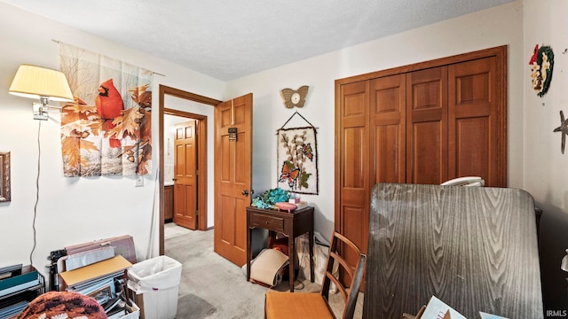 sitting room with light carpet and a textured ceiling