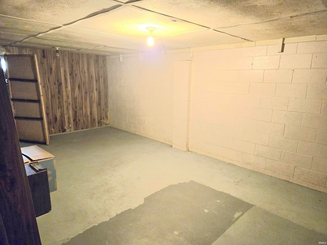 basement with wood walls