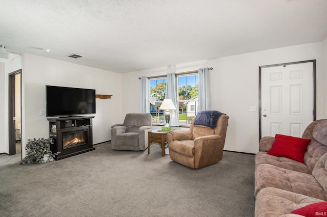 living room featuring a textured ceiling and carpet