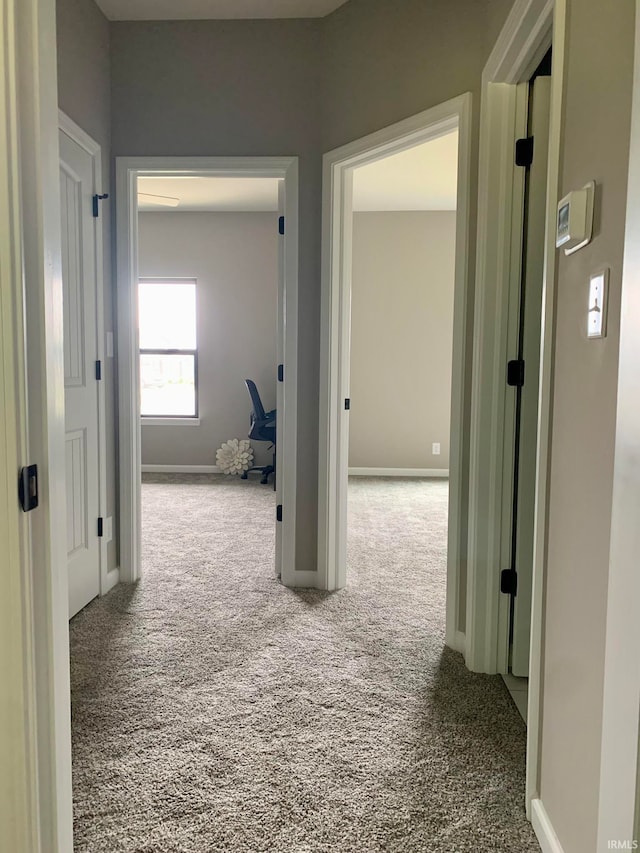 corridor featuring carpet floors