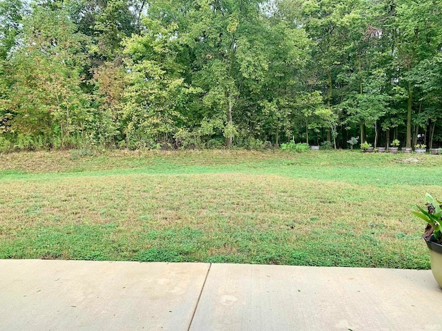 view of yard featuring a patio area